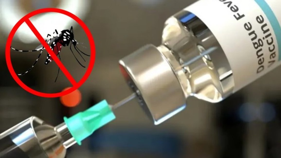 Llega a Argentina la vacuna contra el dengue y el Gobierno comienza a definir la estrategia sanitaria