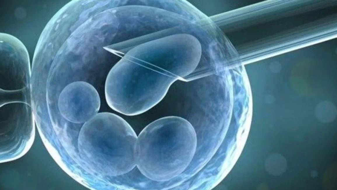 Científicos cultivan un embrión humano sin usar esperma ni óvulo