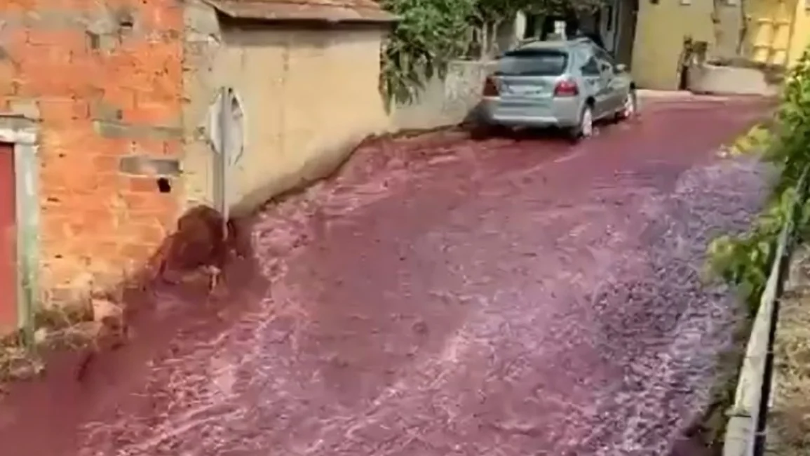 VIDEO. Explotaron dos tanques de vino y tiñeron de vino las calles de Portugal 