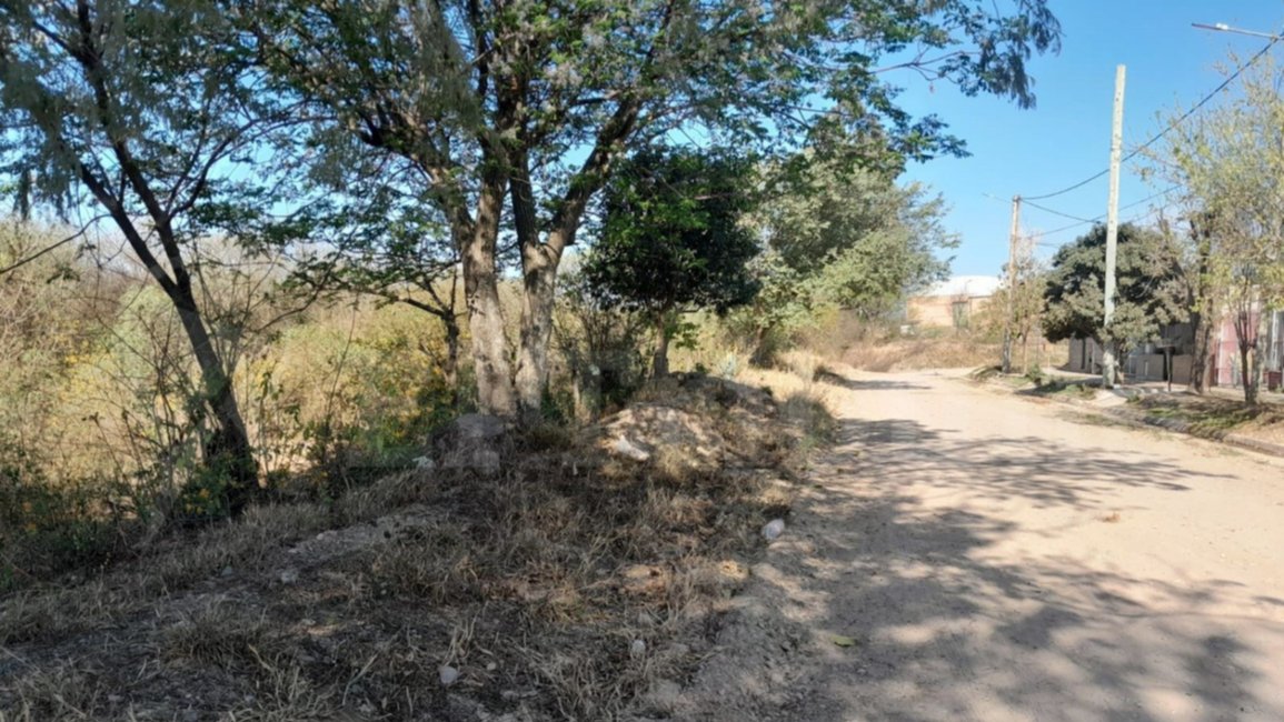  Terreno plagado de malezas tiene en vilo a los vecinos
