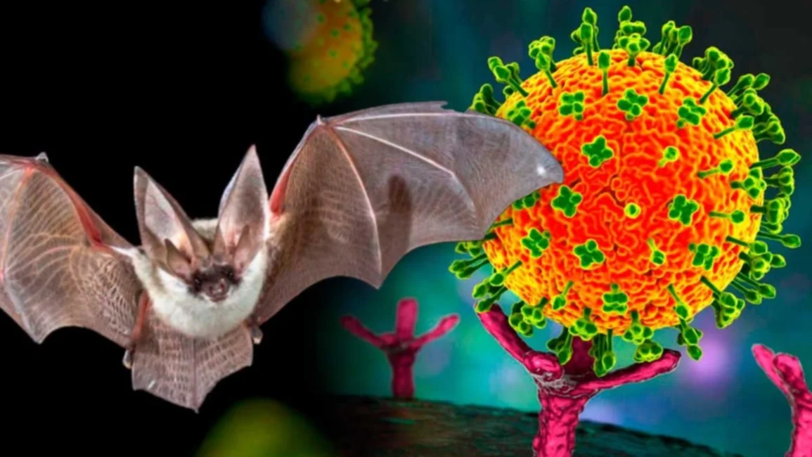 Brote en India: ¿Qué es el virus Nipah?