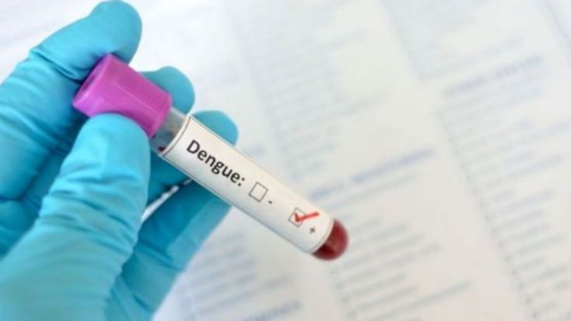 Confirman el primer caso de dengue de la temporada