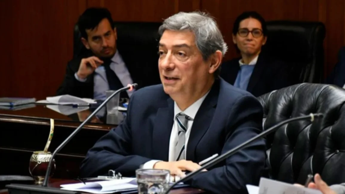 Rosatti advirtió que si la dolarización "elimina el peso" es "inconstitucional"