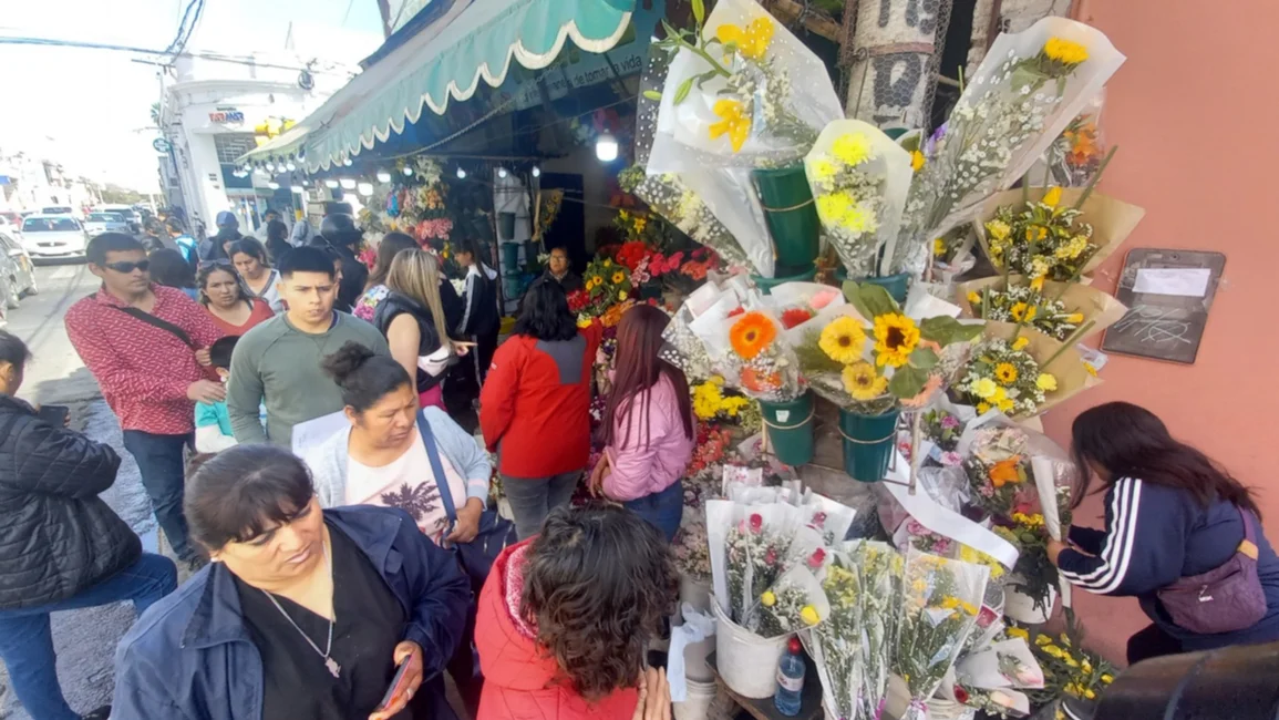 En el inicio de la primavera, furor de los salteños por las flores amarillas