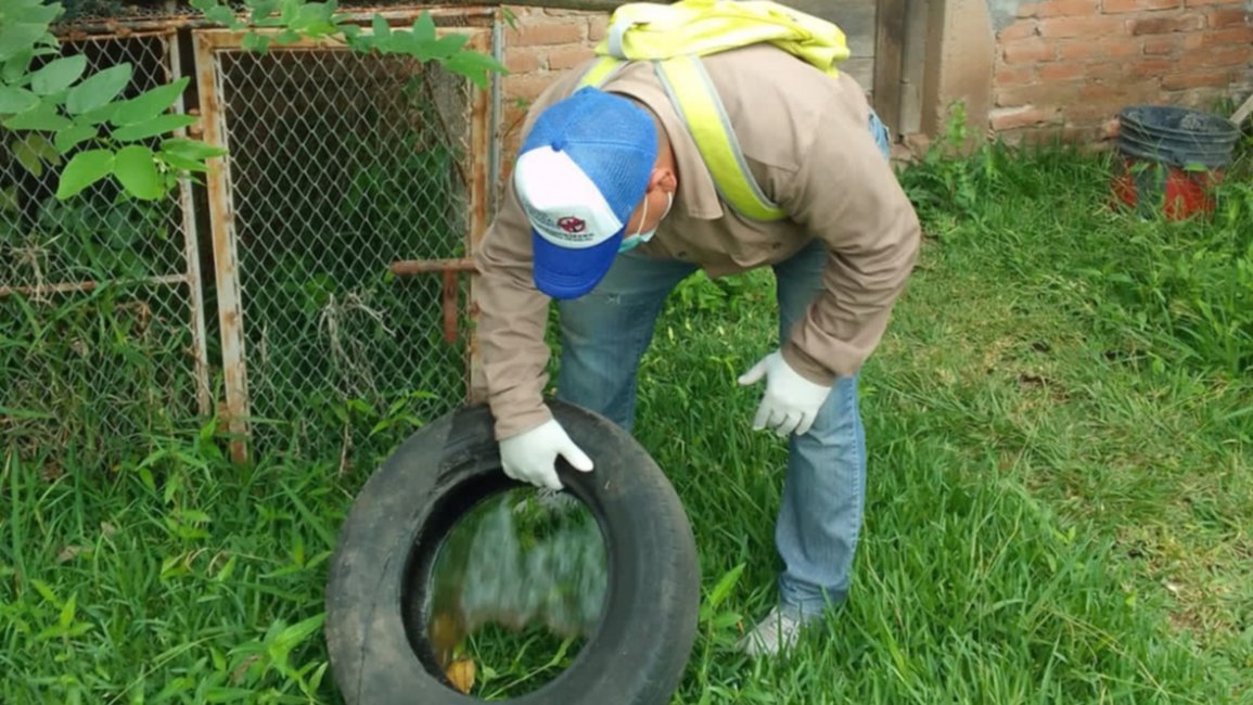  Dengue: especialistas recomiendan evitar fumigaciones masivas
