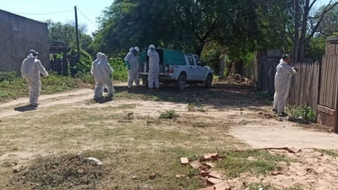Este año se registraron diez casos de hantavirus