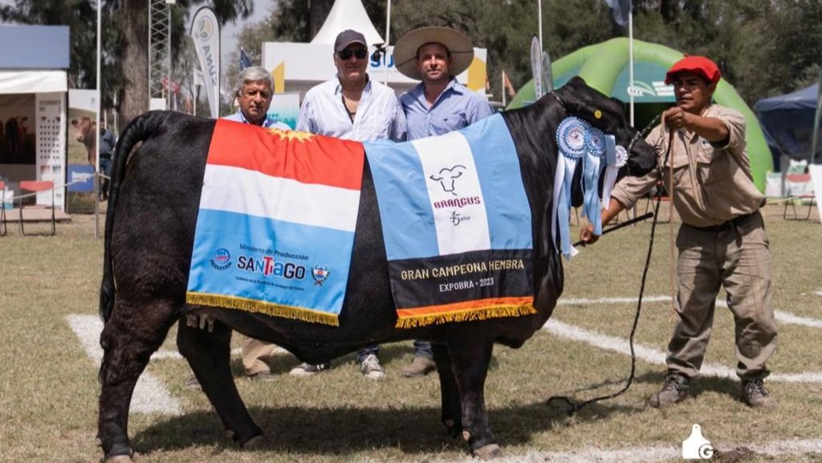 La Cabaña Juramento fue premiada en la ExpoBra 2023 de ganado vacuno