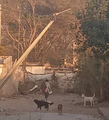 Ráfagas de más de 80 km/h azotan a la ciudad de Metán