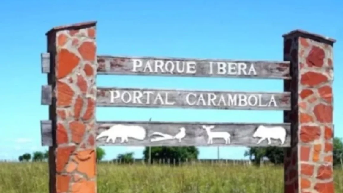 Turista italiana denunció que fue violada en los Esteros de Iberá