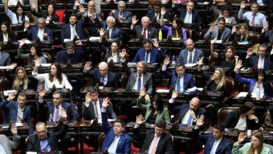 Veto a la reforma jubilatoria: ¿Cómo votaron los diputados salteños?
