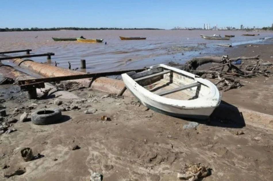 La bajante del Río Paraná se acentúa y empiezan a faltar los surubíes