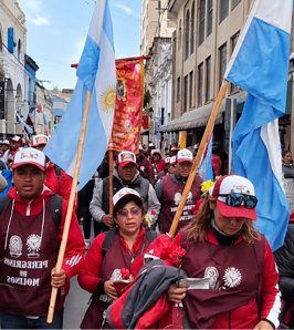 Peregrinos de Molinos llegaron a la Catedral de Salta para renovar su fe en el Milagro