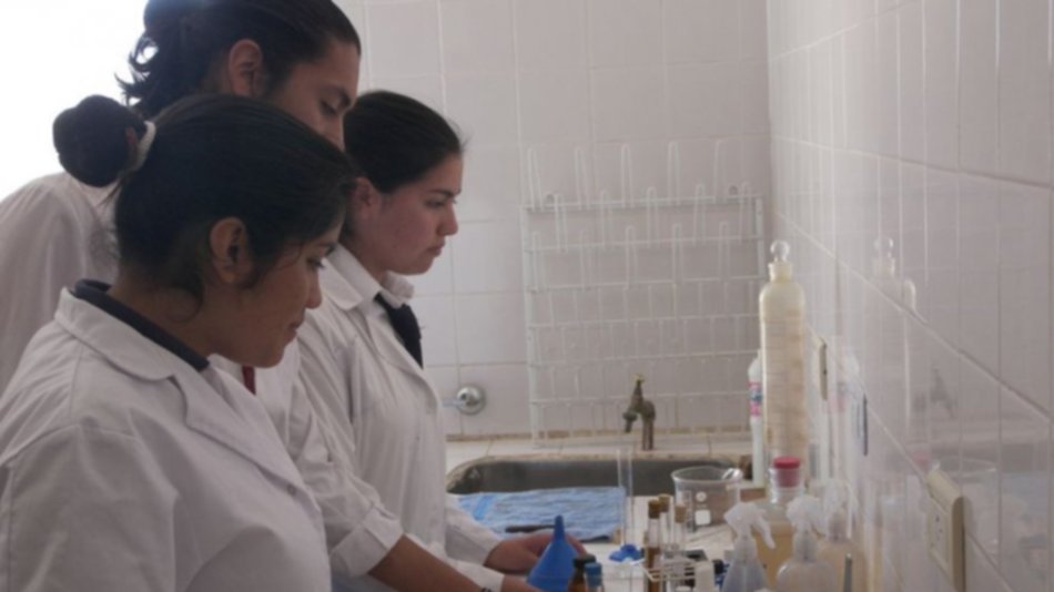 Producen yogur, dulces, biodiesel y experimentan con el tártago