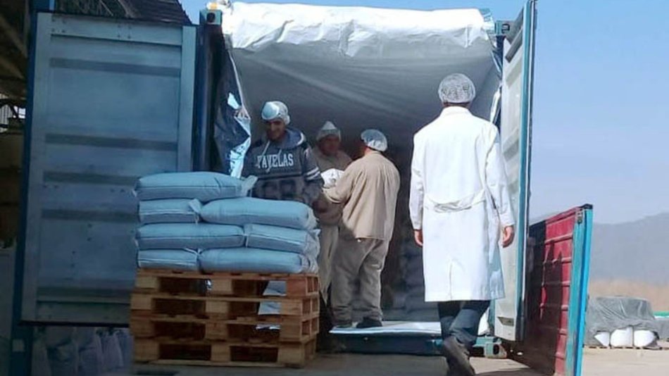 Desde Salta hacia la India partió la primera exportación de chía de la Argentina