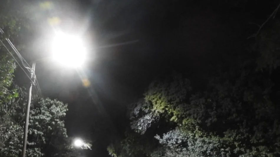 Prevención: iluminaron con LED la transitada calle Necochea