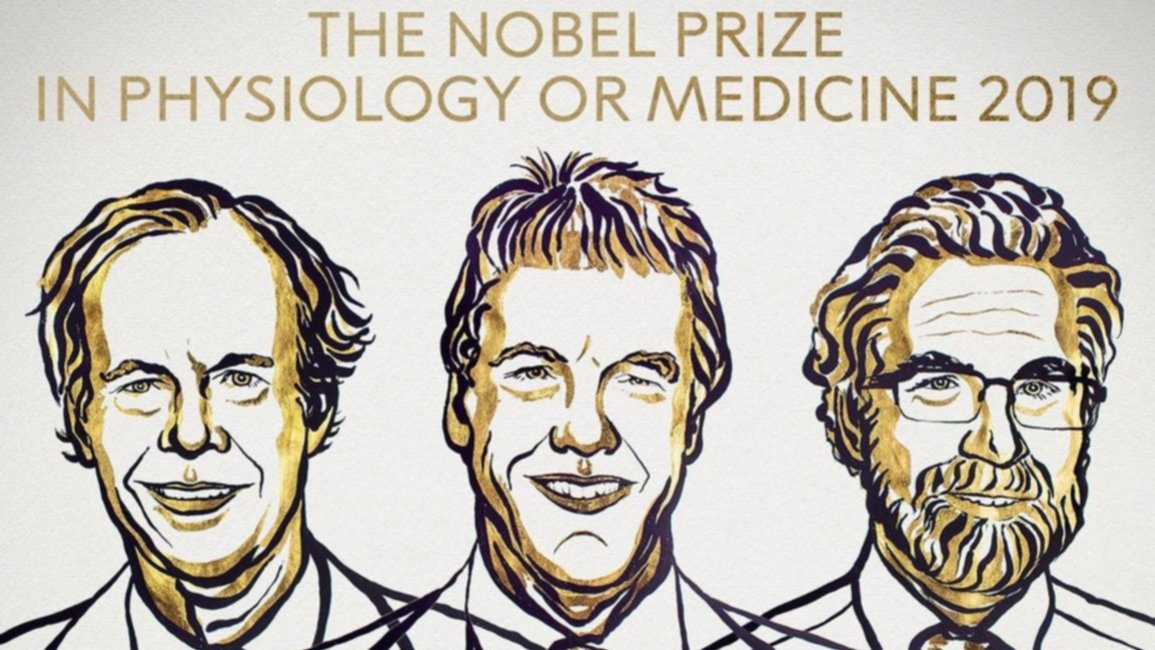 El Nobel de Medicina 2019 fue para tres científicos por sus trabajos sobre cómo las células se adaptan al oxígeno