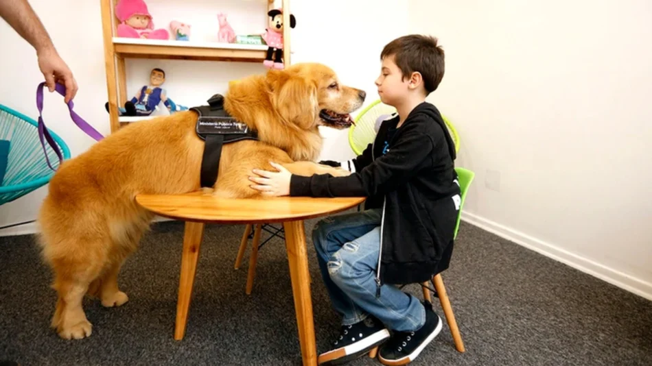  “Titán”, el primer perro que acompaña a niños a declarar como víctimas o testigos de delitos