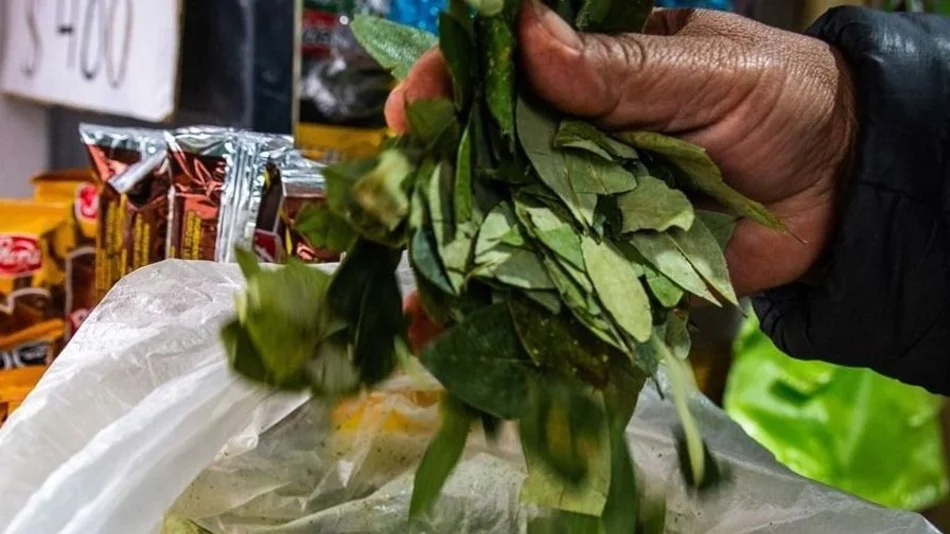 Ahora el precio de la coca se fue a las nubes por el conflicto político de Bolivia