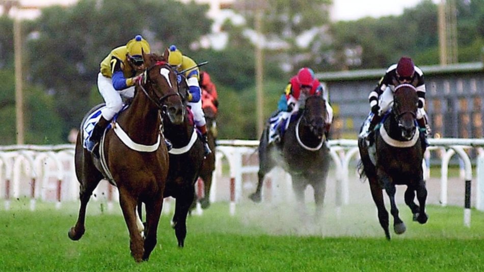 Un caballo lo dejó impotente y su mujer le ganó una demanda al Hipódromo por no poder tener sexo