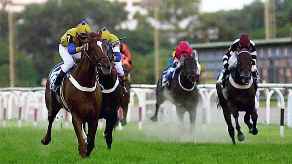 Un caballo lo dejó impotente y su mujer le ganó una demanda al Hipódromo por no poder tener sexo