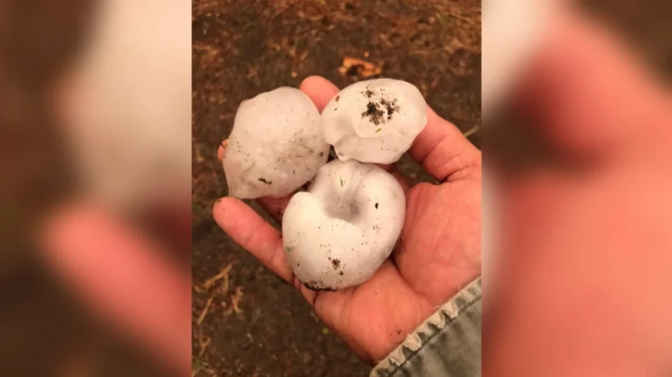 VIDEO | Fuerte tormenta con enormes granizos en el sur de la provincia