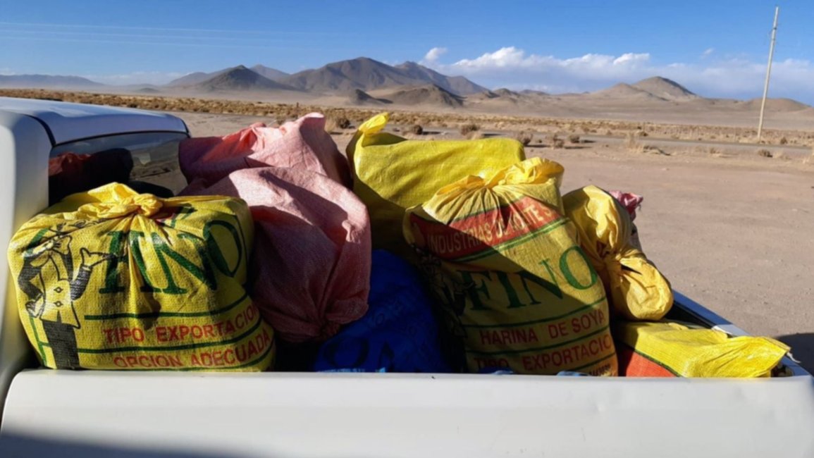 Operativo de altura en la Puna salteña