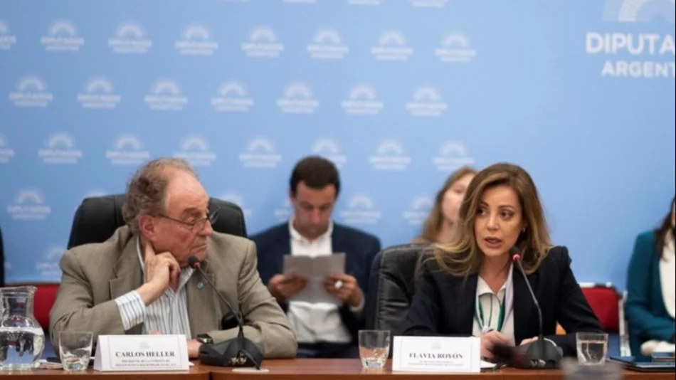 La segmentación tarifaria baja los subsidios de 2,2 a 1,6 puntos del PBI, dijo Royón en Diputados
