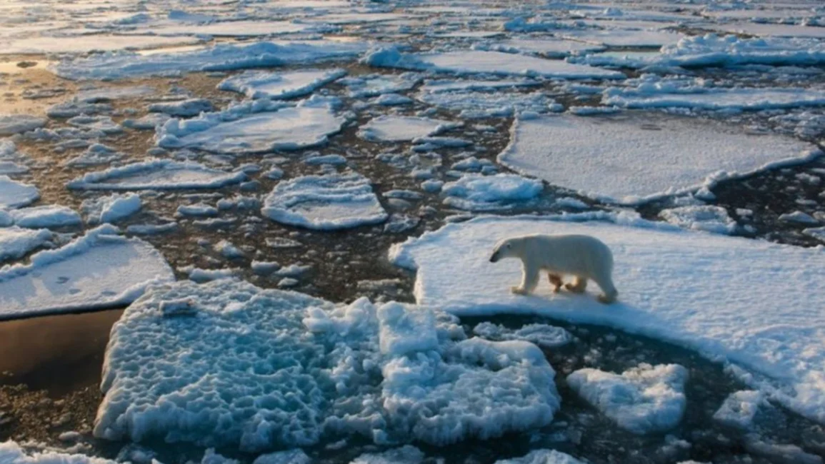 ONU advierte que "son insuficientes" las medidas para evitar el calentamiento global