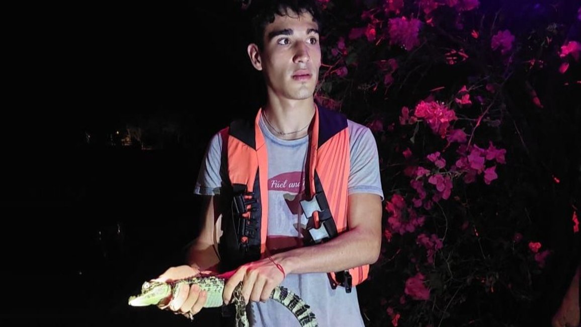 Jóvenes atrapan y liberan a una cría de yacaré en El Tunal