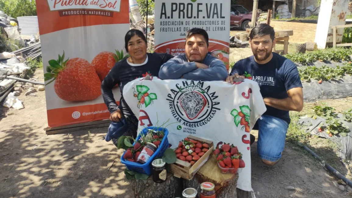 Rosario de Lerma: Productores convocan a ver "¿Quien come más frutillas?"