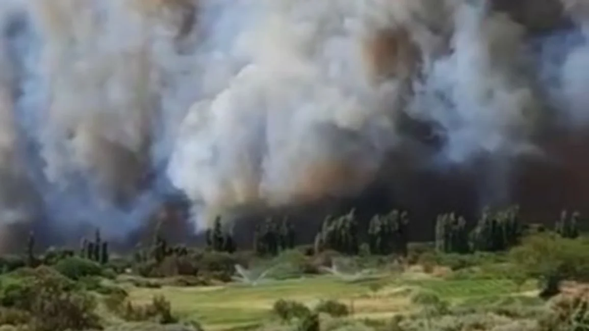 VIDEOS. Cafayate: se multiplican los incendios que azotan la localidad