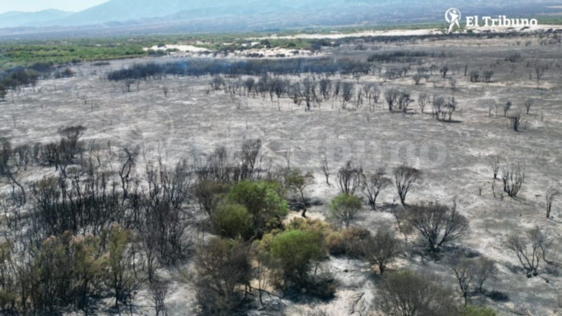  Incendios en Cafayate:  Controlaron el fuego en la zona de los medanos y realizan trabajos de enfriamiento