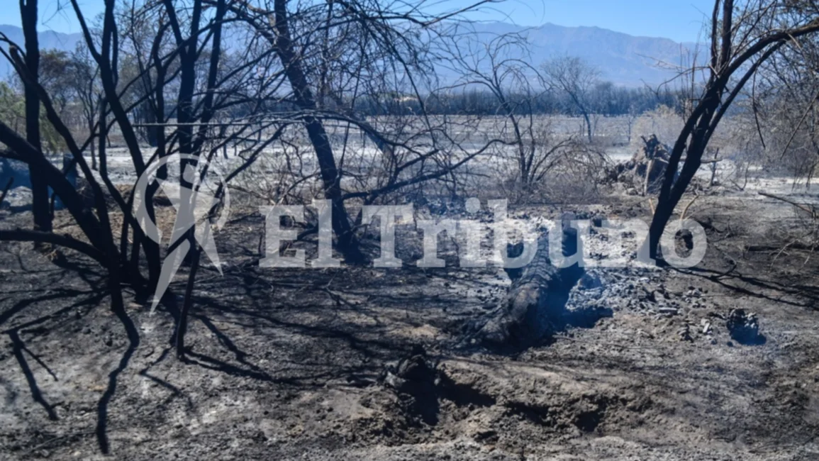 El incendio en Cafayate arrasó con 500 hectáreas en dos días