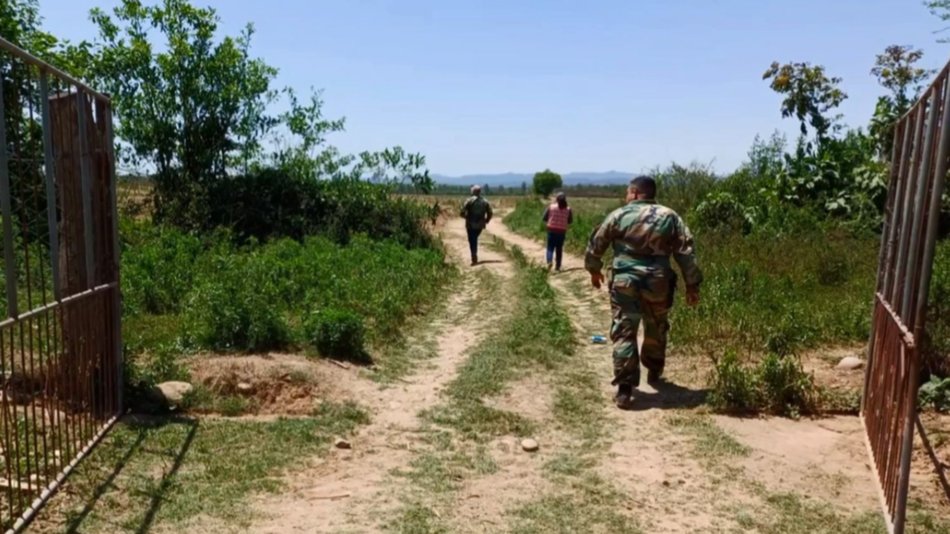 Nación reaccionó ante la invasión de territorio salteño por la caña de azúcar
