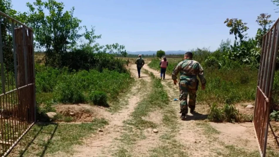 Nación reaccionó ante la invasión de territorio salteño por la caña de azúcar