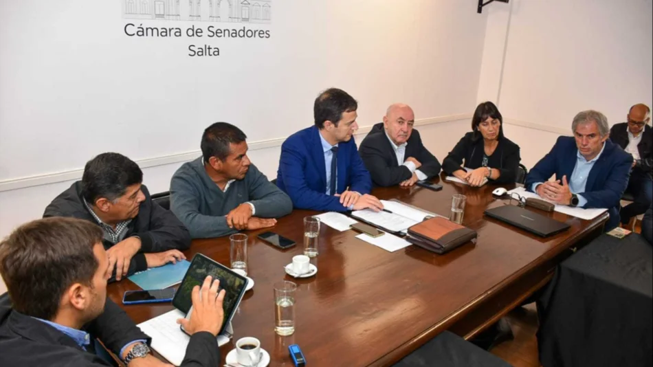 Avanza en el Senado provincial el proceso para eliminar las PASO en Salta 