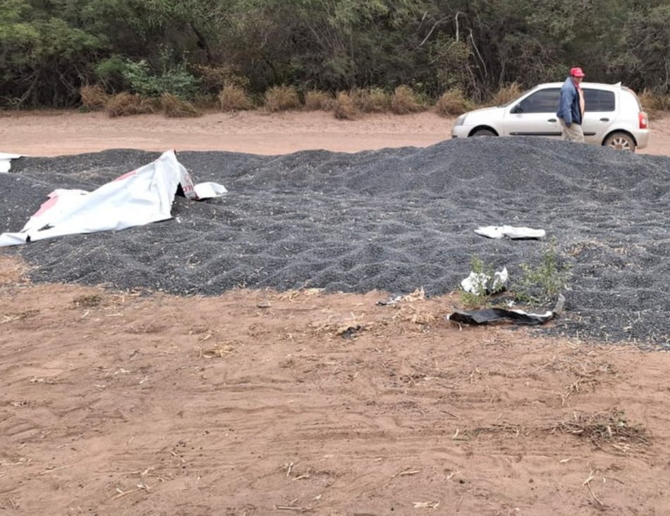 Un trabajo articulado frenó la ola de robos en fincas de San Martín