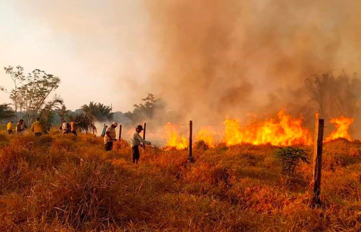 Bolivia enfrenta su peor desastre ambiental con 9,8 millones de hectáreas  quemadas