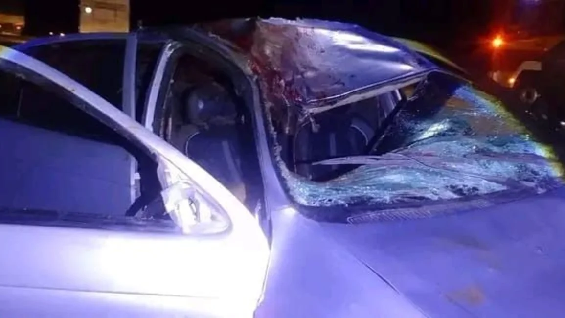 Güemes: un caballo se cruzó en la ruta y provocó un siniestro vial que involucró tres vehículos