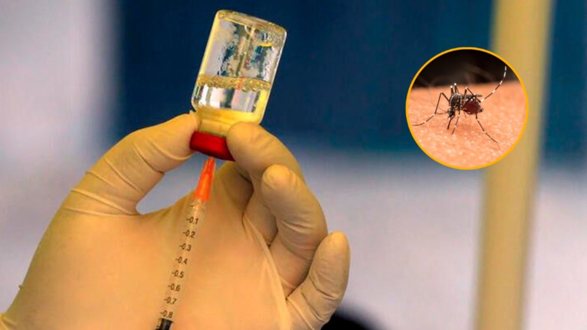 Alerta dengue: Córdoba registró un nuevo caso con un serotipo inédito en el país