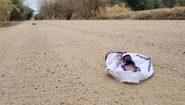 Encuentran decenas bombachas a orillas de la ruta 23: sospechan que se trataría de un hechizo para atraer el amor- Encuentran decenas bombachas a orillas de la ruta 23: sospechan que se trataría de un hechizo para atraer el amor