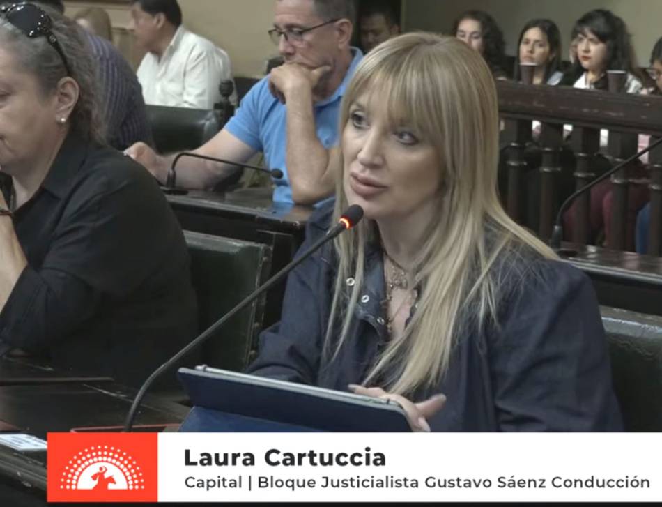 VIDEO. Se aprobó la ley que regula el sistema de residencias médicas en Salta