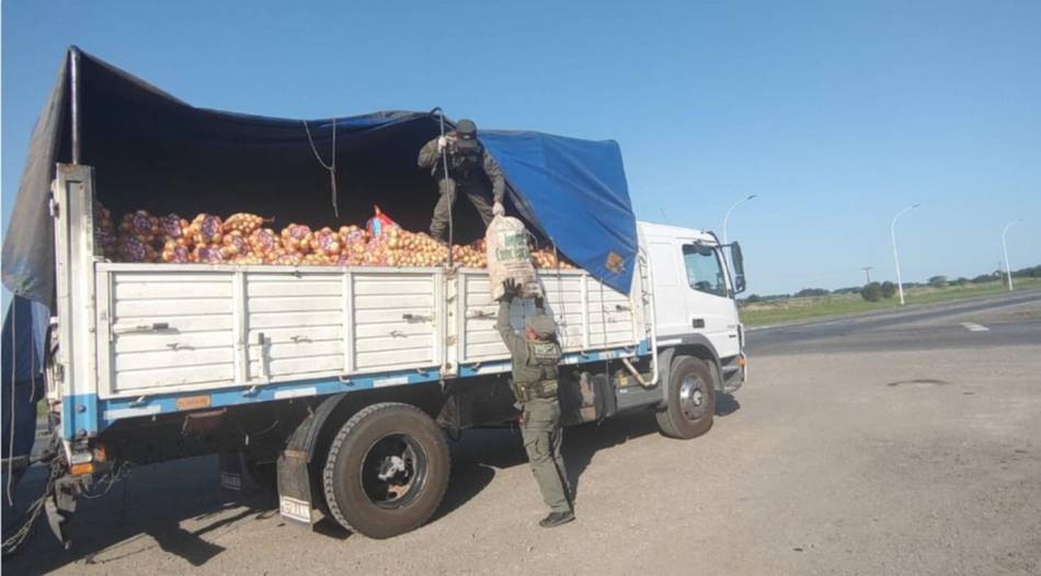 Ocultaban 166 tortugas entre bolsas de cebolla y terminaron detenidos en plena Ruta 34