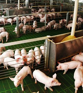Más producción y consumo récord, pero presión por las importaciones