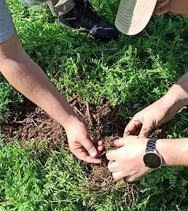 El NOA ensaya nuevas formas de ampiar su potencial productivo