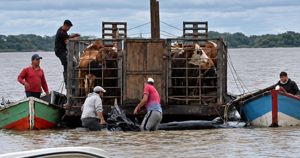 El Litoral, bajo alerta por nuevas lluvias y crecidas