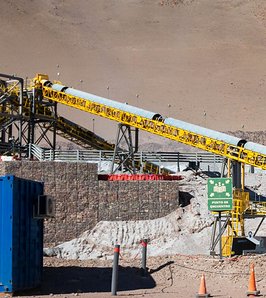 Salta ya lleva US$781 millones exportados