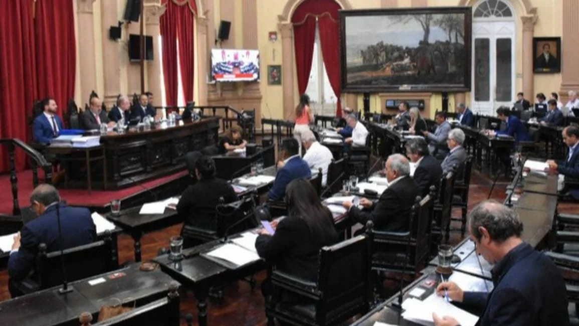 El Senado trata la Carta Orgánica Municipal de Salta
