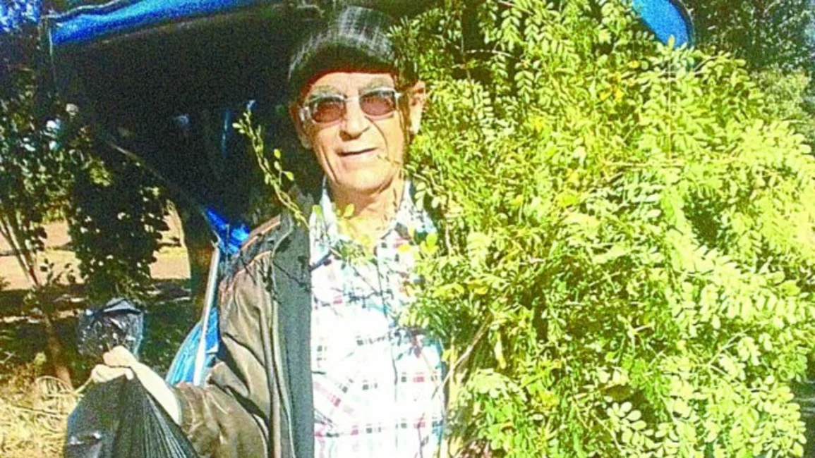 Promueven el cultivo de la moringa en el Chaco salteño