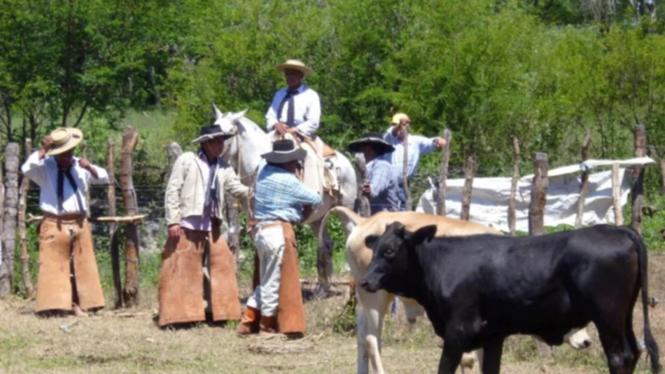 Concurso de pialada y destrezas criollas